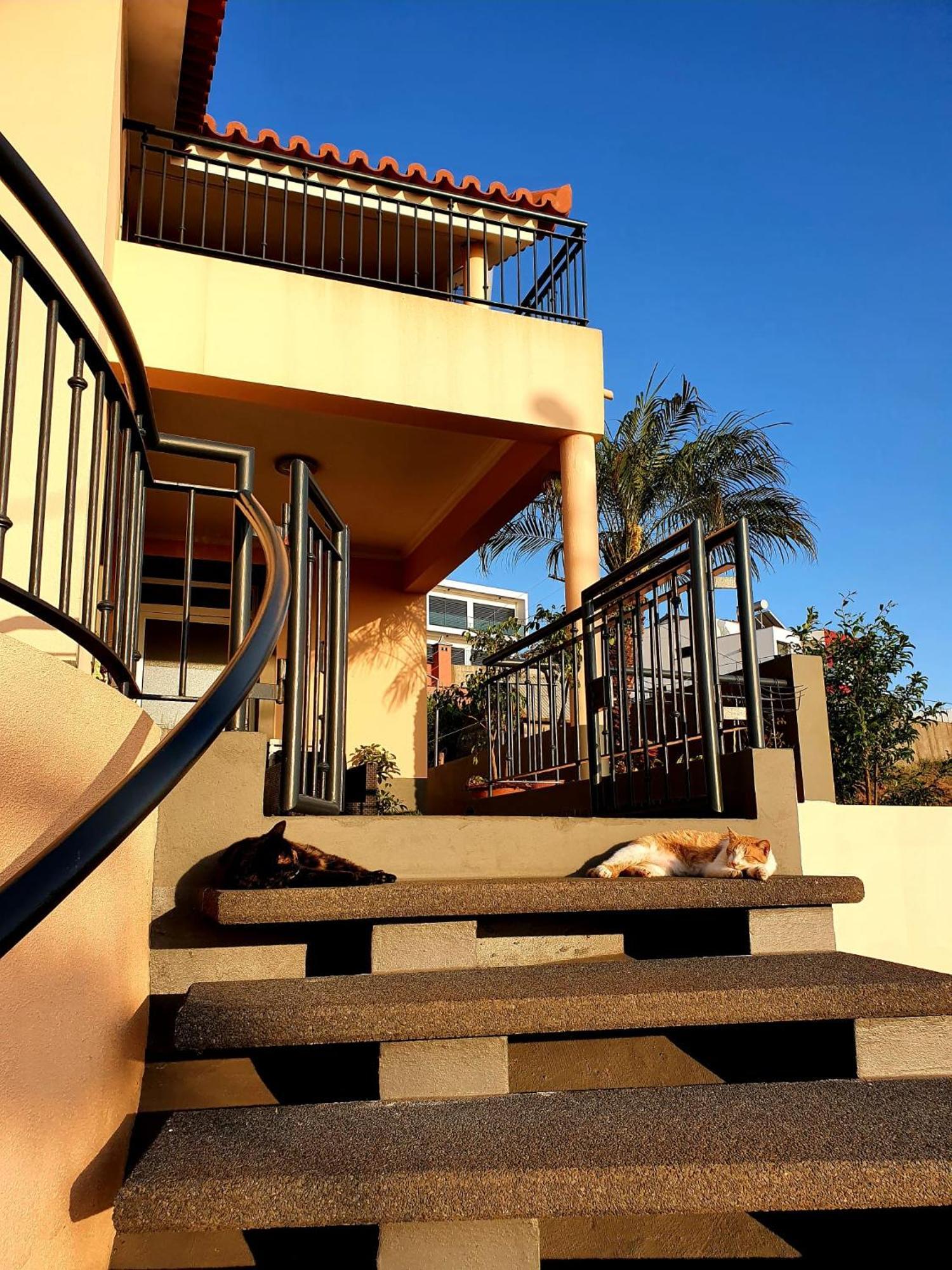 Beautiful View 3 Arco Da Calheta - Ilha Da Madeira Apartment Exterior photo